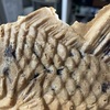 東山の鯛焼き
