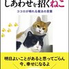 危険もつきものだけど商売は冒険の旅だから、素晴らしい道の体験ができる。