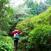 中秋に入る三辻の遊山　秋の雨