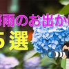 【写真あり】梅雨の晴れ間に行きたい！オススメスポット。梅雨の時期でもアクティブに行こう！会社の同僚やファミリーにもオススメです。