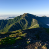ポジションによって見える景色は変わる
