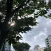 大雨のあと