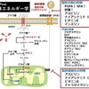 当院で糖尿病治療を希望される患者様へ