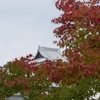 紅葉が進む金沢城