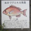 魚類の説明板