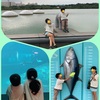 【年長と小3】葛西臨海水族園