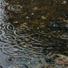 雨の日のテーマパークや遊園地で気を付ける事。これだけは注意しよう。