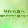 冬から春へ / From Winter to Spring