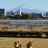 青葉公園のイルミネーション　 （第１８６３話）