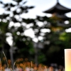 色んな風景～奈良・なら燈花会(とうかえ）～