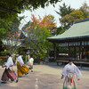 白峯神社