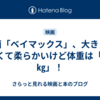 映画「ベイマックス」、大きくて白くて柔らかいけど体重は「34㎏」！