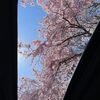 山羊と戯れた〜♪