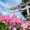 紫陽花神社〜高知市春野 六條八幡宮〜