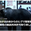 【クマイシス？！＝頻発するクマ被害……11/13ー14　「北海道猟友会」が苦渋の方針 ヒグマの「駆除要請拒否」を検討】＃592