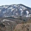 今年は少し早めの八塩山。（2023年4月4日）