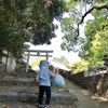 土曜保育