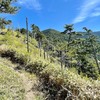 恵那山：充実の前宮ルートを歩く