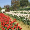 連休明け初日、職場の風景