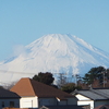 2023年1月5日・木曜日・お雑煮が食べたいと言う・泣きました～♪♪