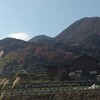 二上山も紅葉しているのですが。