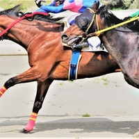 競走馬名 面白い名前 変わった名前 第3弾 馬主 森中審さん所有馬編 搾りたて生アキロッソ 競走馬名 面白い名前 変わった名前 第3弾 馬主 森中審さん所有馬編 搾りたて生アキロッソ