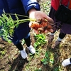 研ぎ澄まされた直感と日々の観察と考察