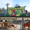 【外出】埼玉こども自然動物公園感想