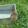 ２０２３／０４／１４　東武動物公園