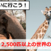 シンガポール動物園ナイトサファリお得情報