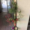 What's about Kadomatsu and Nanten