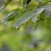 tochikoな山歩き　秋の扉