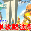 【ゼルダの伝説ティアキン】初心者向け！誰でも簡単 ラスボス 黒龍攻略法解説！The Legend of Zelda Tears of the Kingdom Demon Dragon True Ending【TotK】