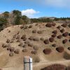 【犬連れ日帰りドライブ】【山中城跡公園】【三島スカイウォーク】静岡県 三島市