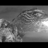 大怪獣ガメラ