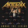 【ヘヴィメタル・ハードロックの名曲】65曲目　Anthrax - Indians