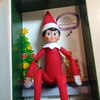 The Elf on the Shelf 