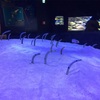 福岡は都会