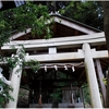 式内小社・有間神社（神戸市北区）の風景　part６３