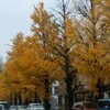 ＊「バカンスはいつも雨」