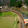 岡山駅を目指す、国鉄特急色の381系を撮る！