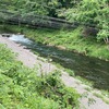 5月22日(木)秩父フライフィールドの河川情報