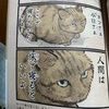 「今日もネコ様の圧が強い」ねこを崇めよ