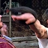 【映画】「スネーキーモンキー 蛇拳（蛇形刁手・Snake In The Eagle's Shadow）」(1978年) 観ました。（オススメ度★★★☆☆）