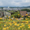 『 ゆうひ山～あさひ山展望公園 』
