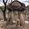 常光寺公園を散策🐶（愛知県瀬戸市）