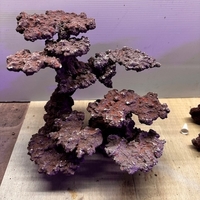 海水30cmハイ水槽 ～立ち上げ～ - 淡水海水30cm生活