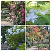 西国第25番札所　御嶽山　播州清水寺（天台宗）／登山〜雲海