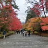 京都　紅葉の旅　二尊院、祇王寺