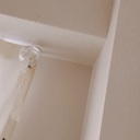 手紙を書くね